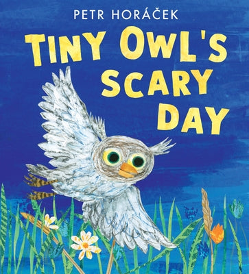 Tiny Owl's Scary Day by Horácek, Petr