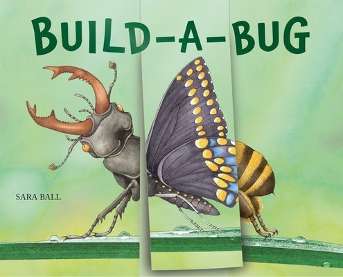 Build-A-Bug: Make Your Own Wacky Insect! by Ball, Sara