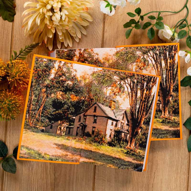 Little Women by Louisa May Alcott