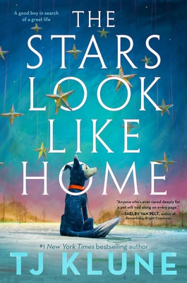 The Stars Look Like Home cover
