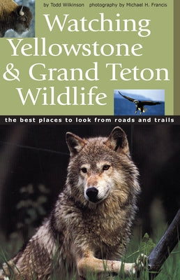 Watching Yellowstone & Grand Teton Wildlife by Wilkinson, Todd