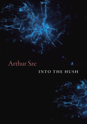 Into the Hush by Sze, Arthur