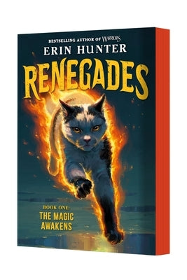 Renegades #1: The Magic Awakens by Hunter, Erin