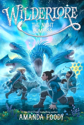 The Night Compass by Foody, Amanda