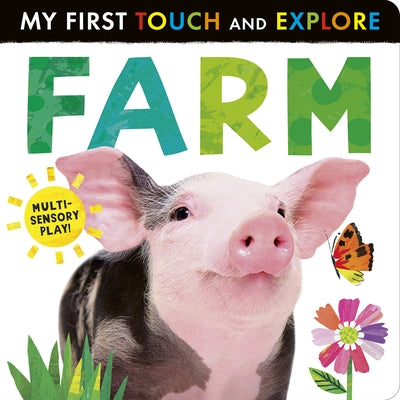 Farm: My First Touch and Explore: Multi-Sensory Play! by Tiger Tales