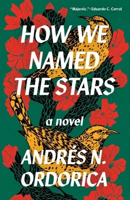 How We Named the Stars by Ordorica, Andr&#195;&#169;s N.