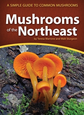 Mushrooms of the Northeast: A Simple Guide to Common Mushrooms by Marrone, Teresa
