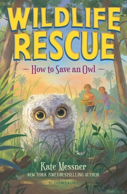 How to Save an Owl by Messner, Kate
