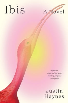 Ibis by Haynes, Justin